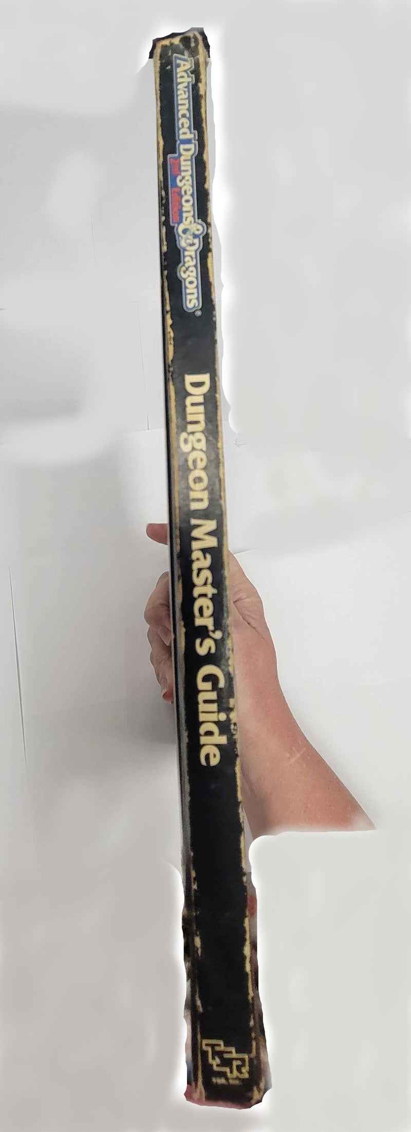Advanced Dungeons & Dragons 2nd Edition Dungeon Master’s Guide (Used: Poor)