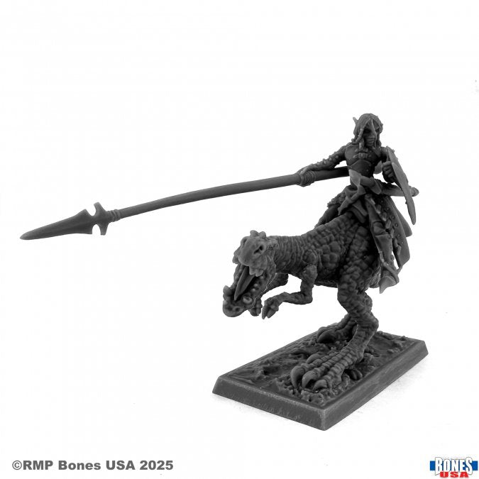 Dark Elf Hero on Lizard