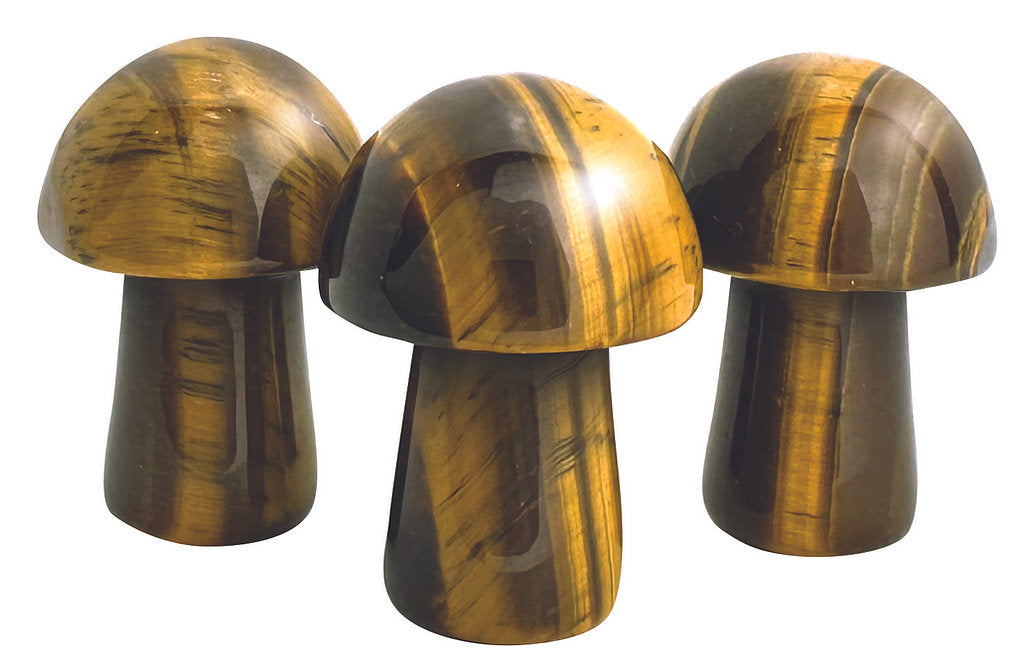 ‘Shrooms (D&D / Fantasy RPG accessory)