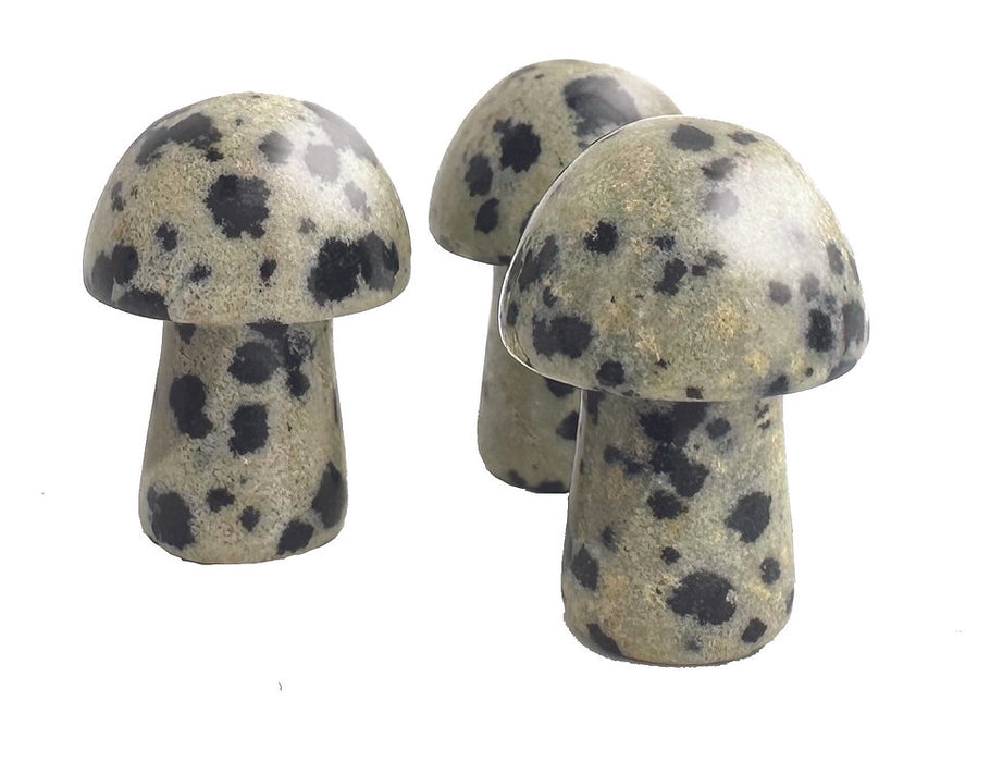 ‘Shrooms (D&D / Fantasy RPG accessory)