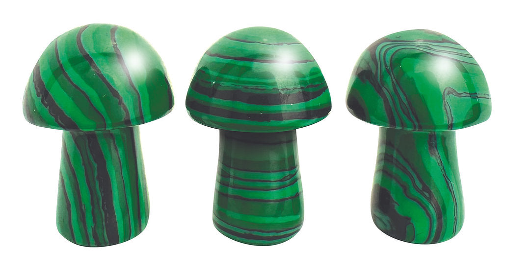 ‘Shrooms (D&D / Fantasy RPG accessory)
