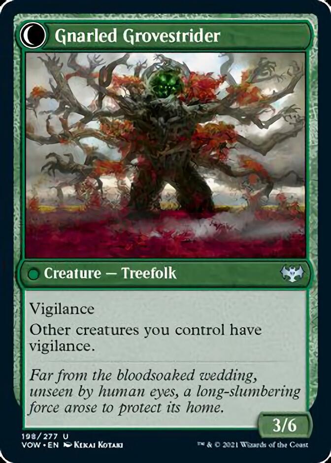 Dormant Grove (198) [Innistrad: Crimson Vow]
