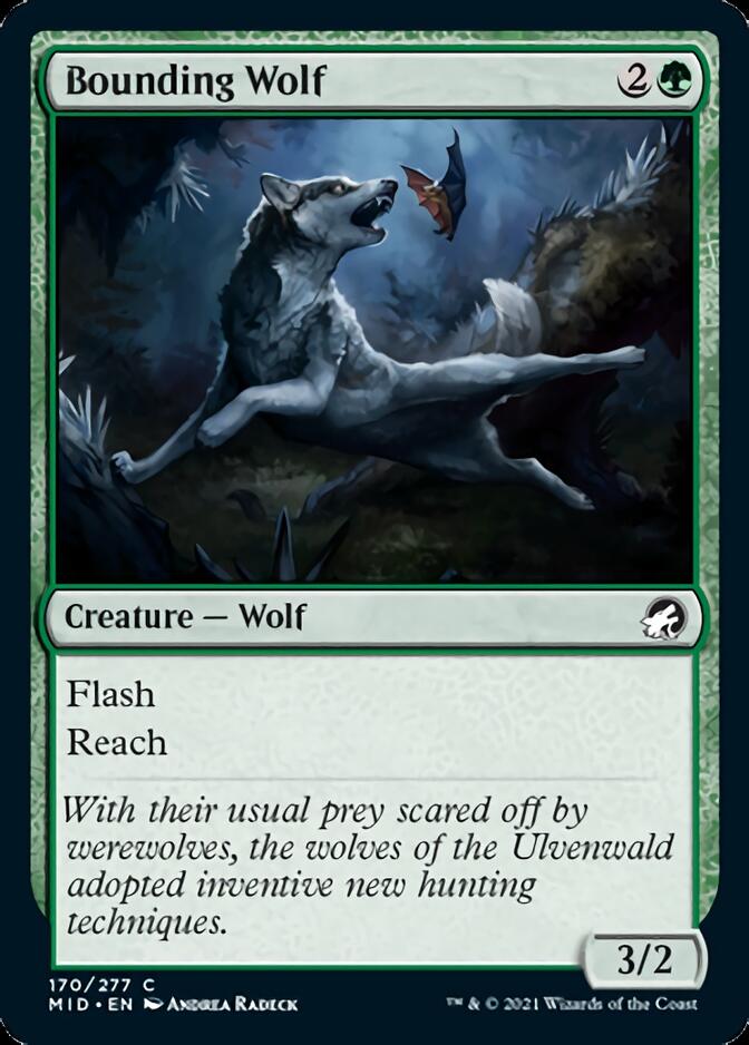 Bounding Wolf (170) [Innistrad: Midnight Hunt]