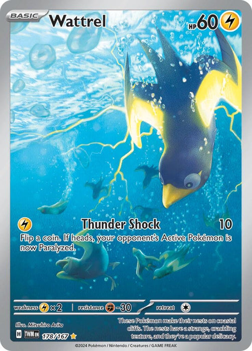 Wattrel 178 167 (178/167) [Twilight Masquerade]