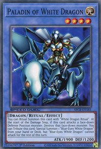 Paladin of White Dragon (SBCB-EN185) [Speed Duel: Battle City Box]