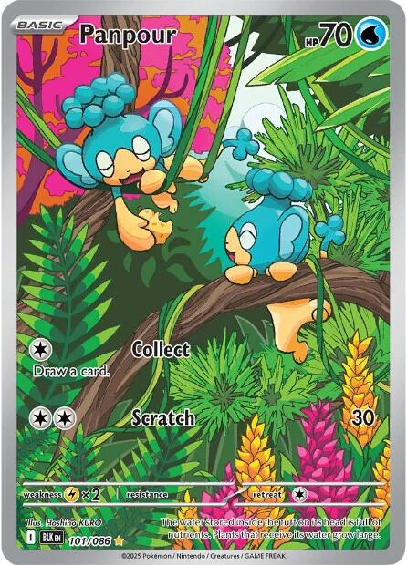Panpour (105/086) [Scarlet & Violet: Black Bolt]