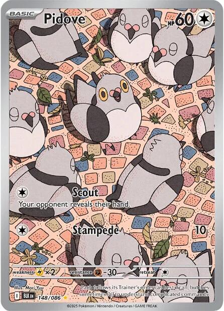 Pidove (153/086) [Scarlet & Violet: Black Bolt]
