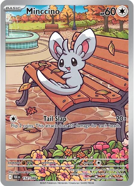 Minccino (157/086) [Scarlet & Violet: Black Bolt]