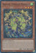 Image for Radiant Typhoon Meghala (DOOD-EN012) [Doom of Dimensions] - YuGiOh