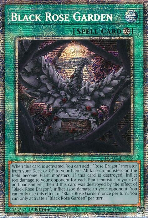 Image for Black Rose Garden (Starlight Rare) (DOOD-EN055) [Doom of Dimensions] - YuGiOh