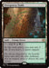 Image for Overgrown Tomb (266) [Lorwyn Eclipsed] - Magic: The Gathering