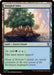 Image for Tangled Islet (411) [Secrets of Strixhaven] - Magic: The Gathering
