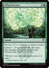 Image for Efflorescence (144) [Secrets of Strixhaven] - Magic: The Gathering