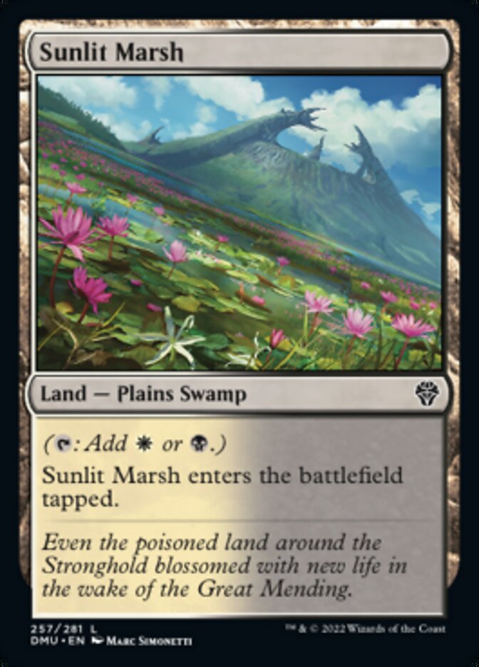 Sunlit Marsh (257) [Dominaria United]