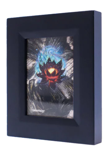 Frameamajigs Collectable Card Frame - Black