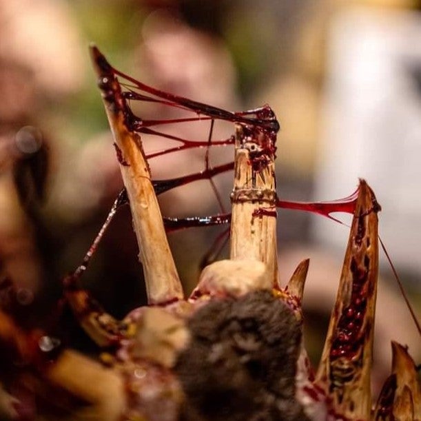 Dirty Down Gore