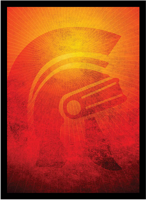 Legion Sleeve - Legion Logo 2015 (50)