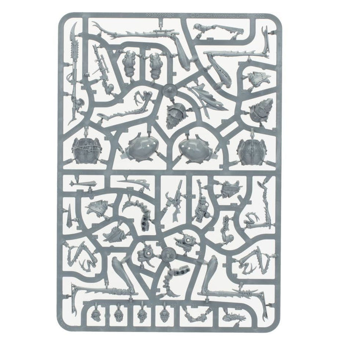 Necromunda: Ash Waste Nomads Dustback Helamites - Used