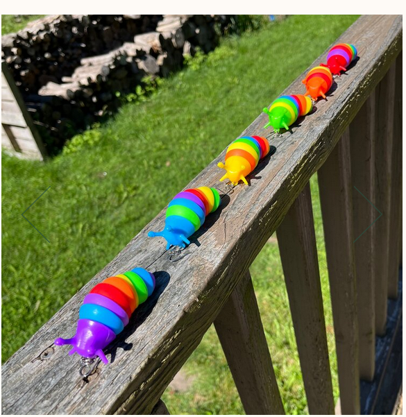 Rainbow Slug Earrings