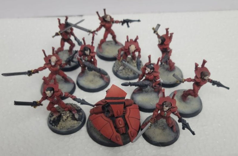 Aledari Storm Guardians  (Used Assembled & Painted)