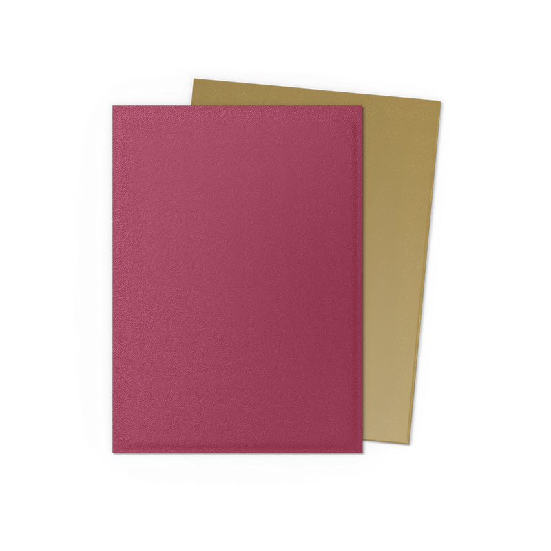 Dragon Shield: Standard 100ct Special Edition - Pomegranate & Gold