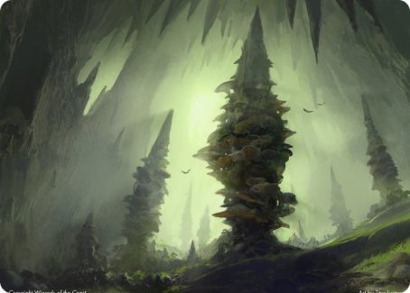 Forest (55/81) Art Card (55) [Art Series: Adventures in the Forgotten Realms]