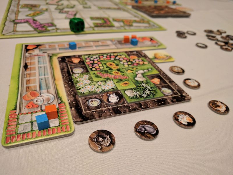 Cottage Garden