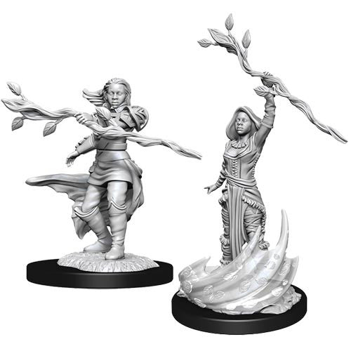 D&D Nolzur's Marvelous Unpainted Miniatures: W14 Female Human Druid