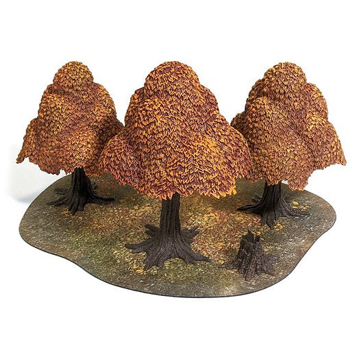 Autumn Forest