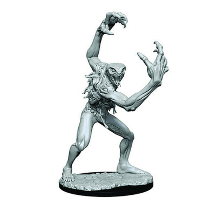 Critical Role Unpainted Miniatures: W01 Aeorian Nullifier