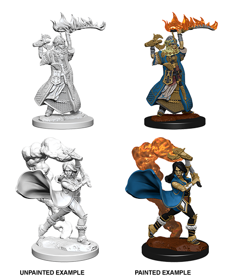 PATHFINDER: DEEP CUTS UNPAINTED MINIATURES W1 FEMALE HUMAN CLERIC