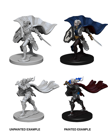 Pathfinder Deep Cuts: Elf Female Paladin