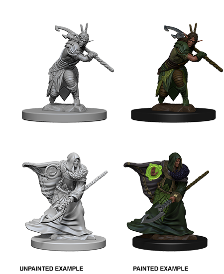 Dungeons & Dragons Nolzur`s Marvelous Unpainted Miniatures: W04 Elf Male Druid