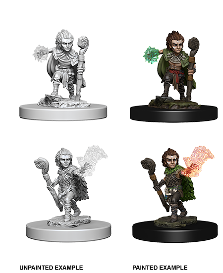 PATHFINDER: DEEP CUTS UNPAINTED MINIATURES W5 MALE GNOME DRUID