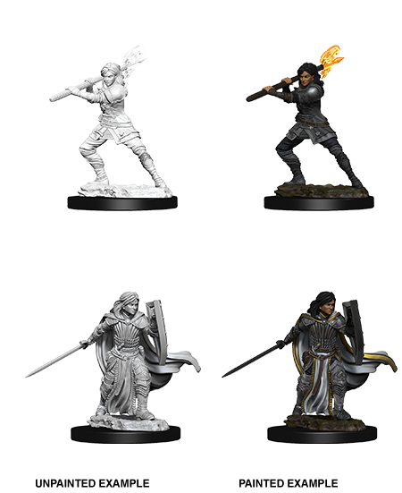 D&D Nolzur's Marvelous Unpainted Miniatures: Female Human Paladin