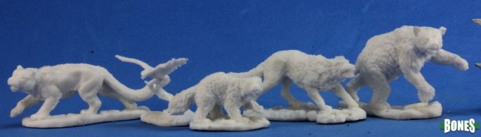 Companion Animals