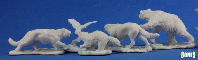 Companion Animals