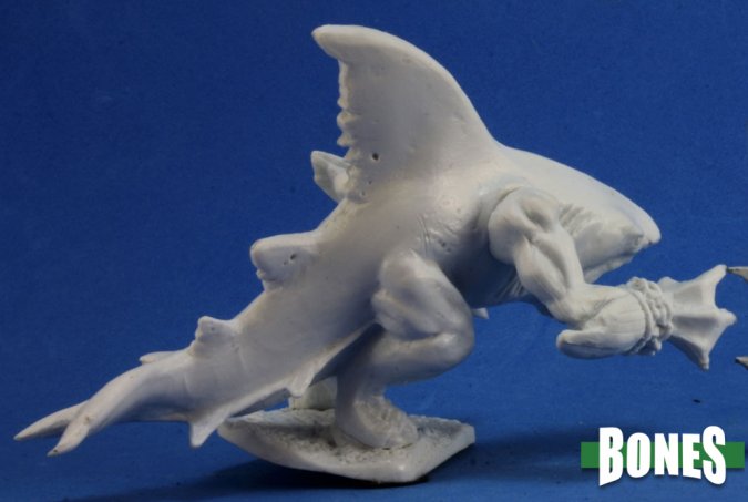 Sharkman - Karnedge Gorefathom, Karkarion