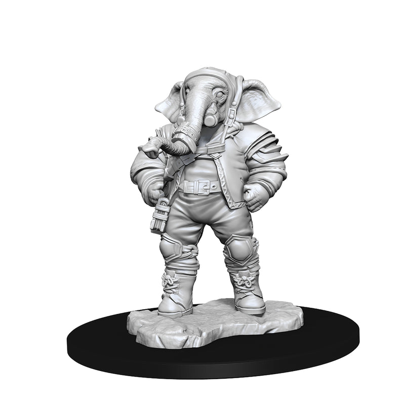 Magic the Gathering Unpainted Miniatures: W15 Qunitorius Field Historian