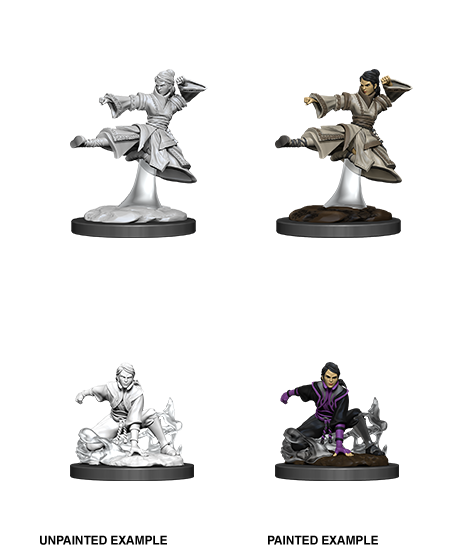 Dungeons & Dragons Nolzur`s Marvelous Unpainted Miniatures: W11  Female Human Monk