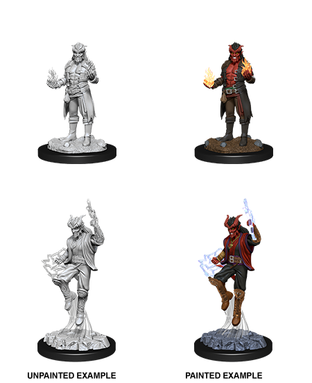 Dungeons & Dragons Nolzur`s Marvelous Unpainted Miniatures: W12  Male Tiefling Sorcerer