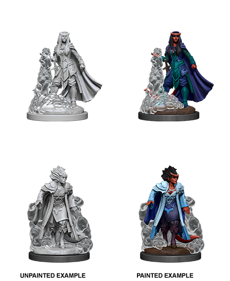 Dungeons & Dragons Nolzur`s Marvelous Unpainted Miniatures: W12  Female Tiefling Sorcerer