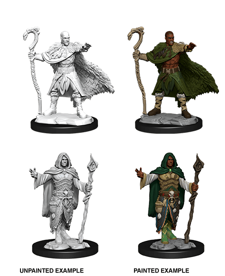 D&D Nolzur's Marvelous Unpainted Miniatures: W14 Male Human Druid