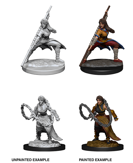 D&D Nolzur's Marvelous Unpainted Miniatures: W14 Human Female Monk