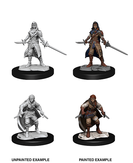 D&D Nolzur's Marvelous Unpainted Miniatures: W14 Female Half-Elf Rogue