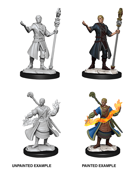 D&D Nolzur's Marvelous Unpainted Miniatures: W14 Male Half-Elf Wizard