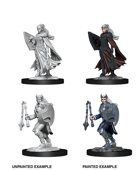 D&D Nolzur's Marvelous Unpainted Miniatures: W14 Female Kalashtar Cleric