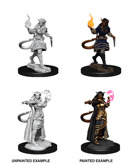 Dungeons & Dragons Nolzur`s Marvelous Unpainted Miniatures: W15 Tiefling Sorcerer Female
