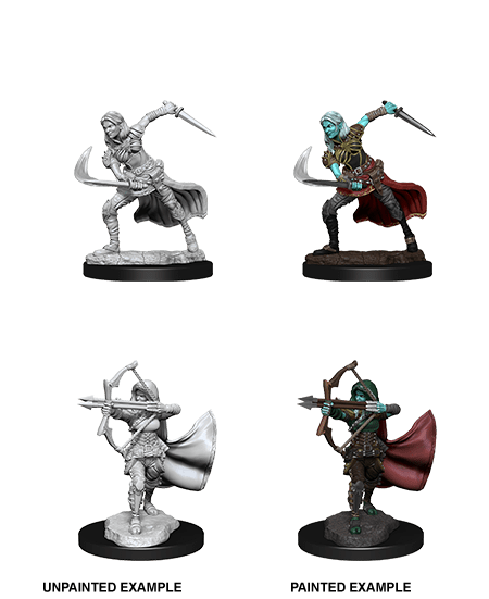 Dungeons & Dragons Nolzur`s Marvelous Unpainted Miniatures: W15 Air Genasi Female