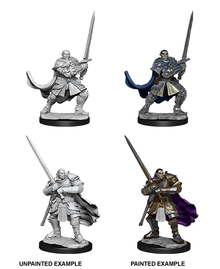 Dungeons & Dragons Nolzur`s Marvelous Unpainted Miniatures: W15 Half-Orc Paladin Male
